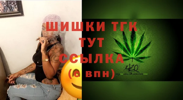 индика Киренск