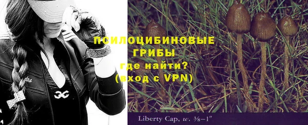 индика Киренск