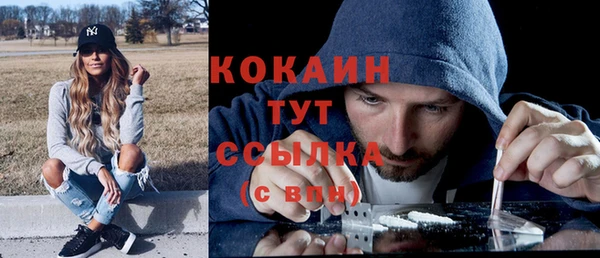 прущий лед Козловка