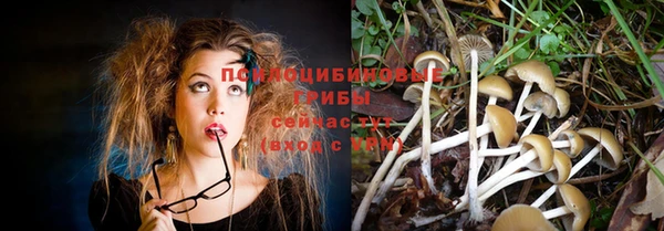 амф Кинешма