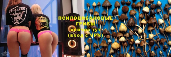 прущий лед Киреевск