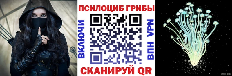 Псилоцибиновые грибы Psilocybe  Снежногорск 